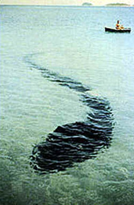 Le grand serpent de mer